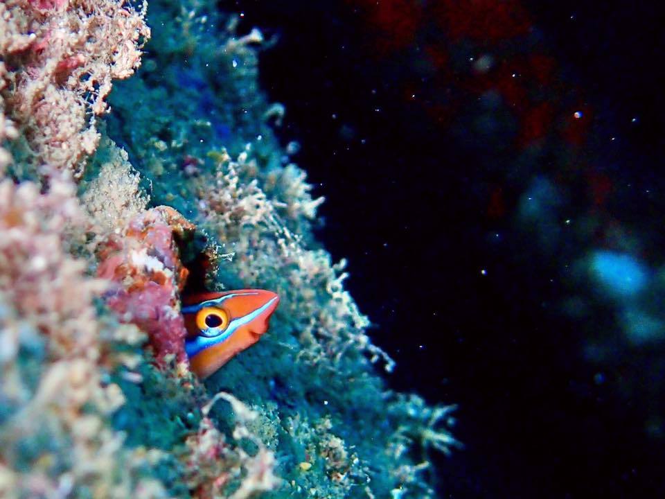 e0115199_14251779.jpg