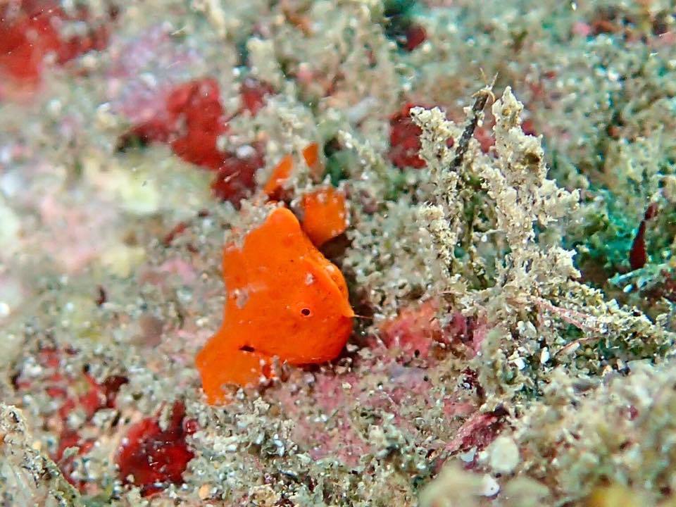 e0115199_14252287.jpg