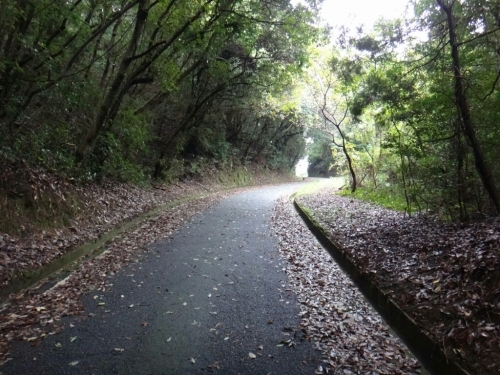 b0092300_20445509.jpg