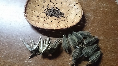 c0163102_20525362.jpg