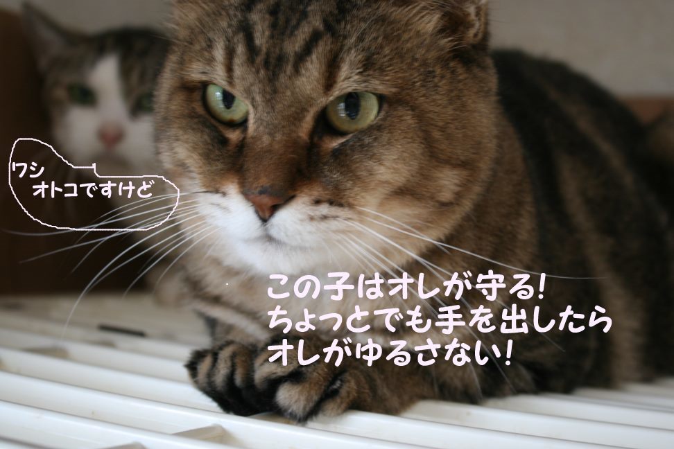 なるとです~_f0242002_22512257.jpg