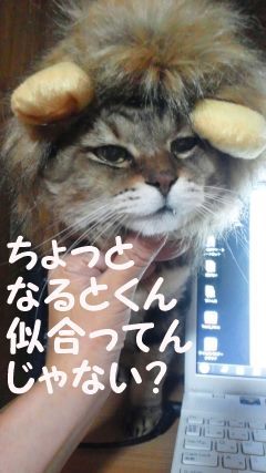 なるとです~_f0242002_22514762.jpg