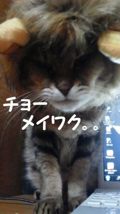 なるとです~_f0242002_22520132.jpg