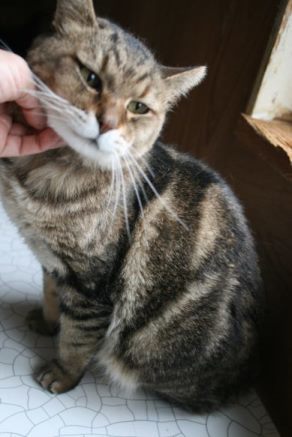 なるとです~_f0242002_22525558.jpg