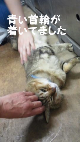 なるとです~_f0242002_23004856.jpg