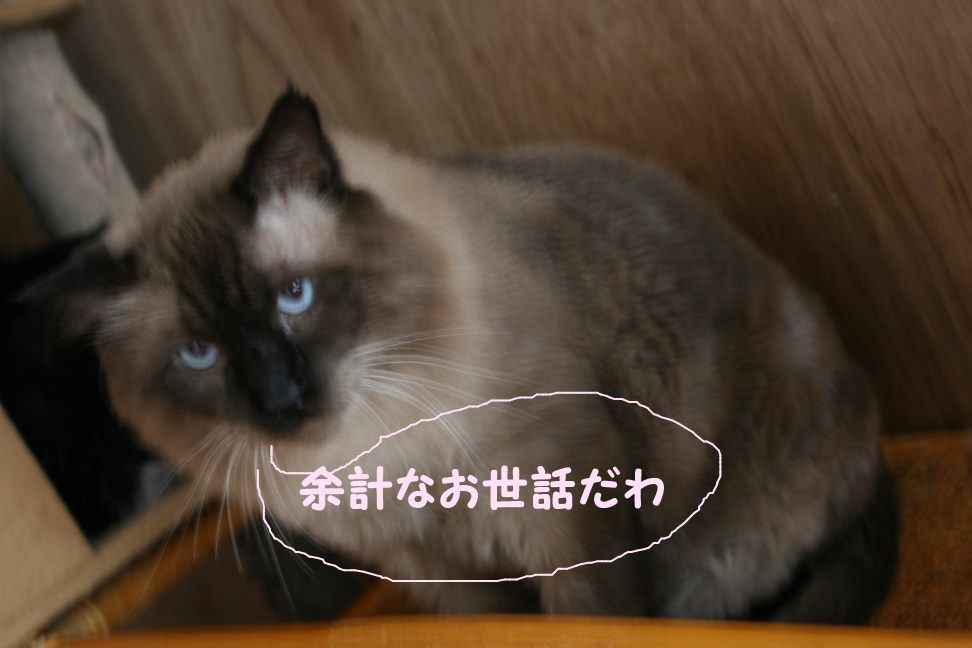 なるとです~_f0242002_23060322.jpg
