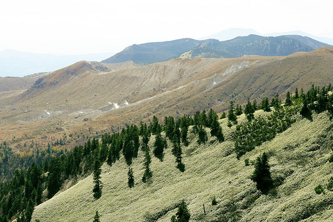 a0087804_11532620.jpg
