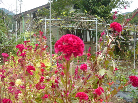 a0139007_09282762.jpg