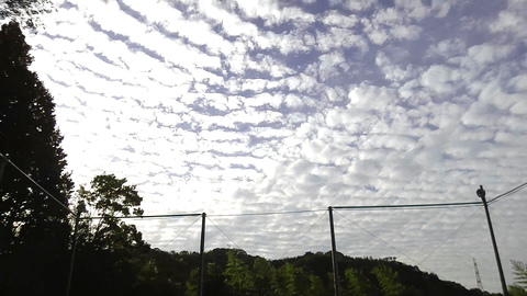 a0059812_17131325.jpg