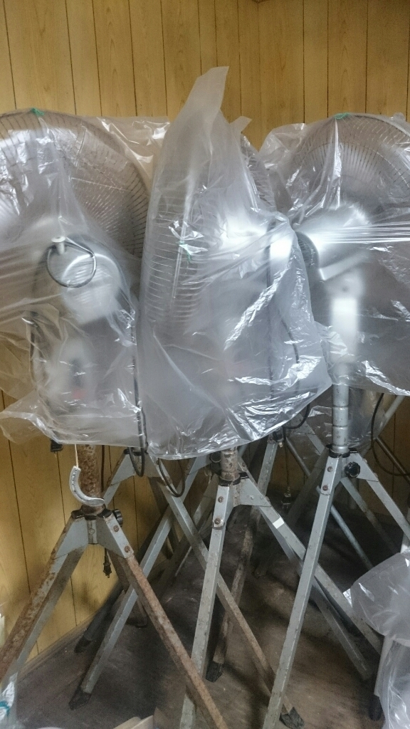 b0187620_20322245.jpg