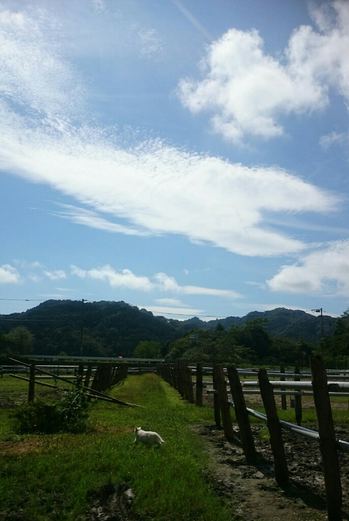 b0187620_20323114.jpg