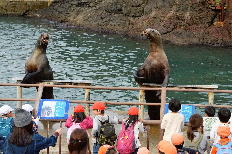 小樽水族館_f0373120_1832989.jpg