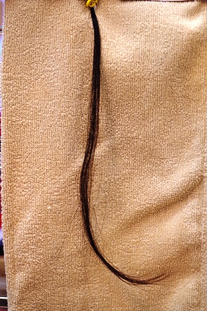 c0109726_12521595.jpg