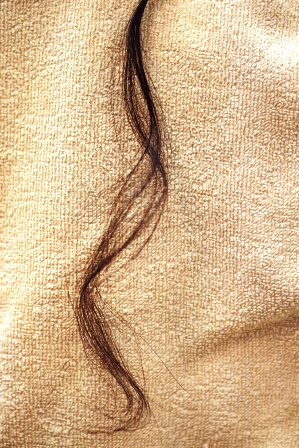 c0109726_1252441.jpg