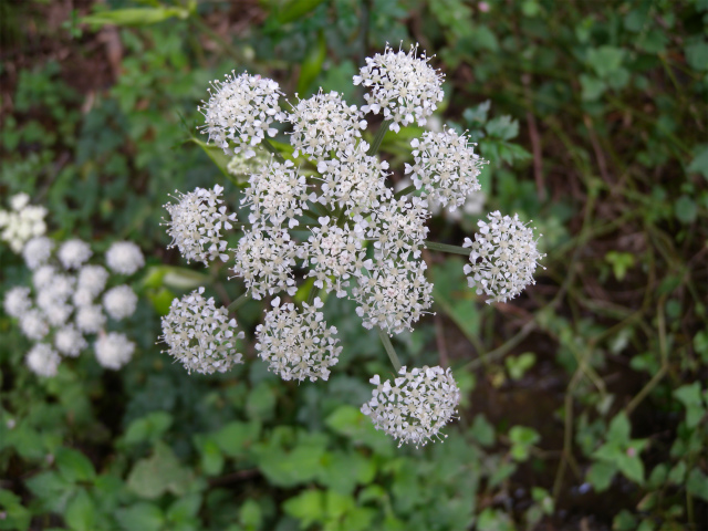 e0272335_16242886.jpg