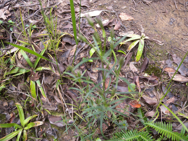 e0272335_1673393.jpg