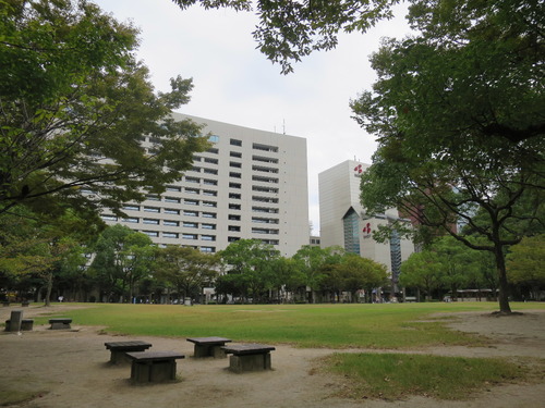 c0011649_917123.jpg