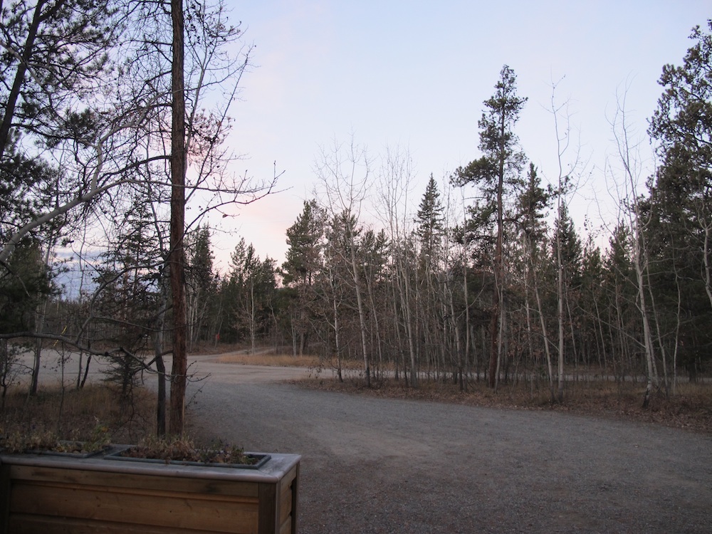 b0090654_65568.jpg