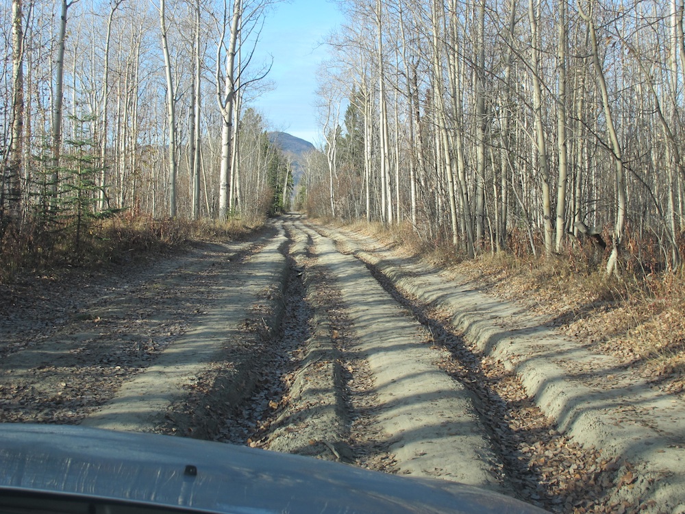 b0090654_703115.jpg