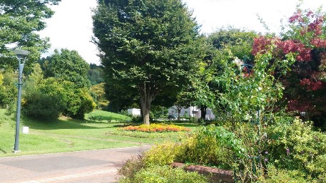 c0190960_2123472.jpg