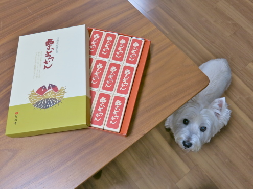 「十三夜」じゃないの?_c0260460_20343609.jpg