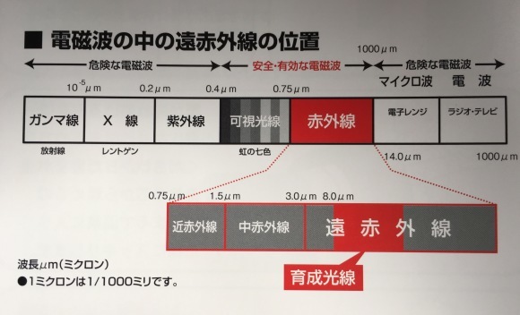 c0120363_13203231.jpeg