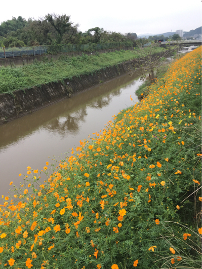 三連休頭なのに・・朝から雨_c0122670_23075107.jpg