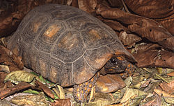 f0144970_16375910.jpg