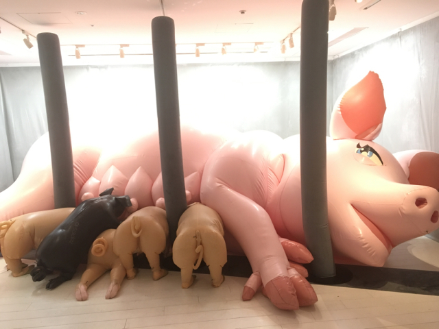 豚小屋 黒豆日記 豚小屋 黒豆日記