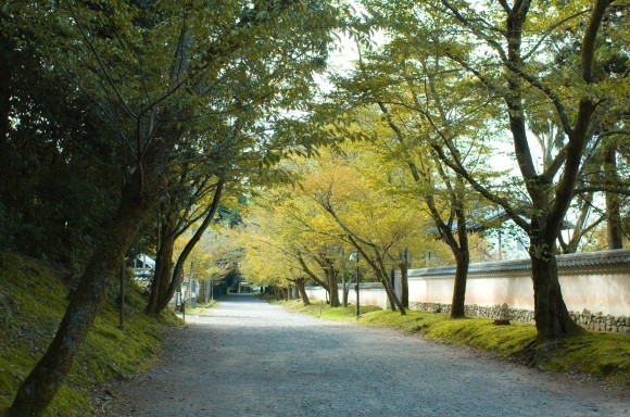 近畿三十六不動尊　第23番 醍醐山　上醍醐寺_c0260772_12365906.jpg