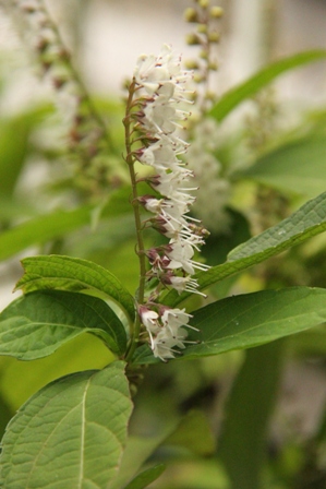 b0214473_14244636.jpg