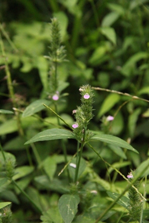 b0214473_14253632.jpg