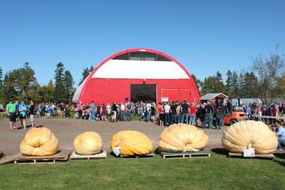 c0353373_21324740.jpg