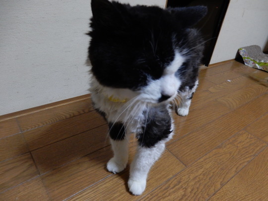 お近づき1号_e0355177_14573233.jpg