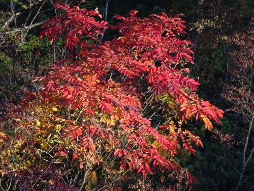 b0354279_06572168.jpg