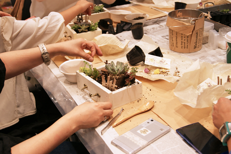 「多肉植物でお庭づくり」ワークショップありがとうございました。_b0160880_12551855.jpg