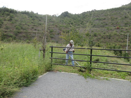 f0053885_19361019.jpg