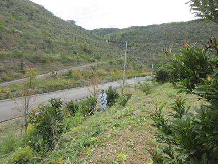 f0053885_19363181.jpg