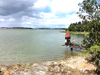 a0106589_2375017.gif