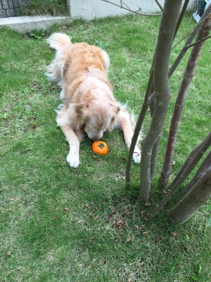 b0275998_11065151.jpeg