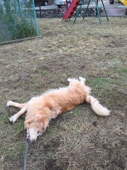 b0275998_11085020.jpeg