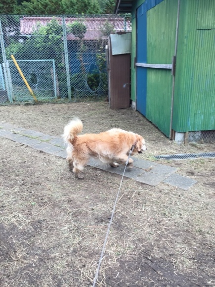 b0275998_11130565.jpeg