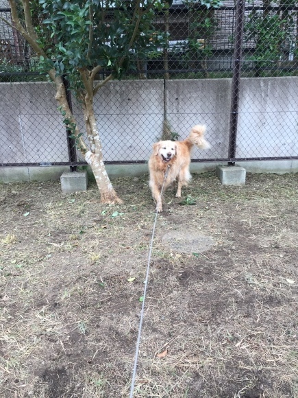 b0275998_11132172.jpeg