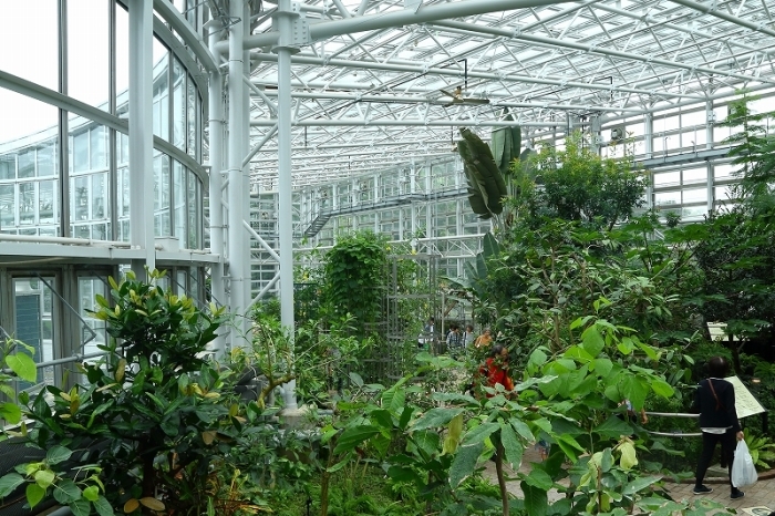 １年９ヶ月に及ぶ改修工事を経てリニューアルオープンした温室 神代植物公園大温室 旅プラスの日記