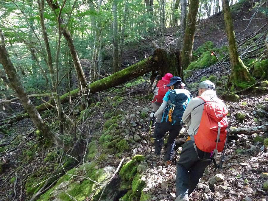 奥槍戸山の家～次郎笈～剣山～ほら貝の滝　周遊_b0124306_18412338.jpg