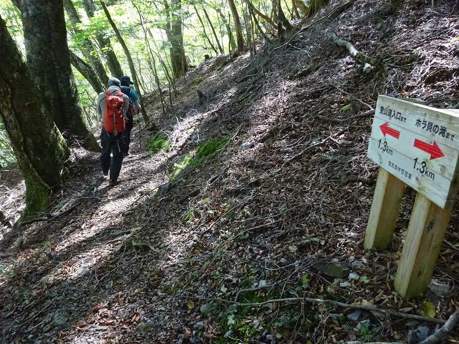 奥槍戸山の家～次郎笈～剣山～ほら貝の滝　周遊_b0124306_18574949.jpg