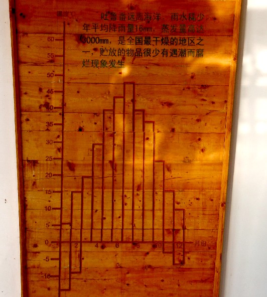 d0140806_151404.jpg
