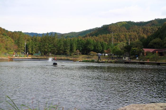 e0174008_19522742.jpg