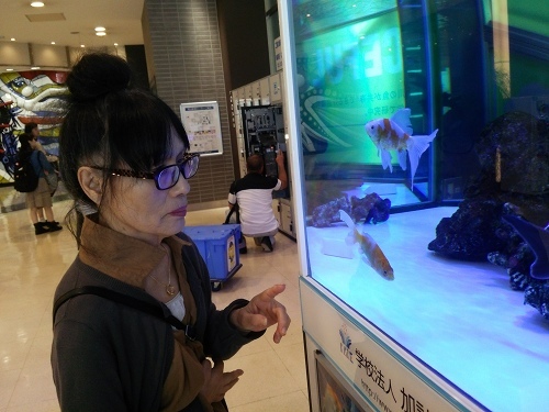 f0375110_20491398.jpg