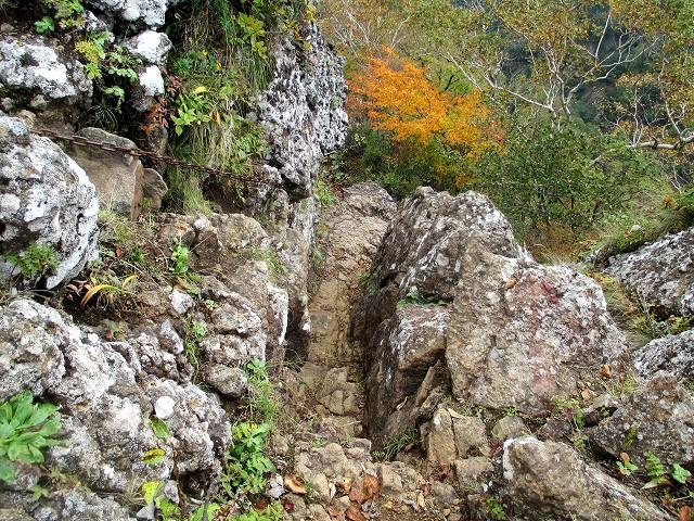 戸隠連山　八方睨から蟻の塔渡を下降　　　　Nishidake in Myōkō Togakushi renzan National Park_f0308721_2134062.jpg